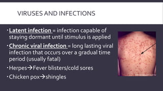 VIRUSES AND INFECTIONS
Latent infection = infection capable of
staying dormant until stimulus is applied
Chronic viral infection = long lasting viral
infection that occurs over a gradual time
period (usually fatal)
HerpesFever blisters/cold sores
Chicken poxshingles

 
