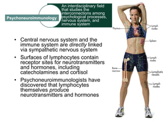 An interdisciplinary field 
that studies the 
interconnections among 
psychological processes, 
nervous system, and 
immune system 
Psychoneuroimmunology 
• Central nervous system and the 
immune system are directly linked 
via sympathetic nervous system 
• Surfaces of lymphocytes contain 
receptor sites for neurotransmitters 
and hormones, including 
catecholamines and cortisol 
• Psychoneuroimmunologists have 
discovered that lymphocytes 
themselves produce 
neurotransmitters and hormones 
 