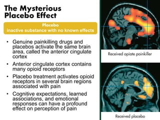 The Mysterious 
Placebo Effect 
Placebo 
inactive substance with no known effects 
• Genuine painkilling drugs and 
placebos activate the same brain 
area, called the anterior cingulate 
cortex 
• Anterior cingulate cortex contains 
many opioid receptors 
• Placebo treatment activates opioid 
receptors in several brain regions 
associated with pain 
• Cognitive expectations, learned 
associations, and emotional 
responses can have a profound 
effect on perception of pain 
 