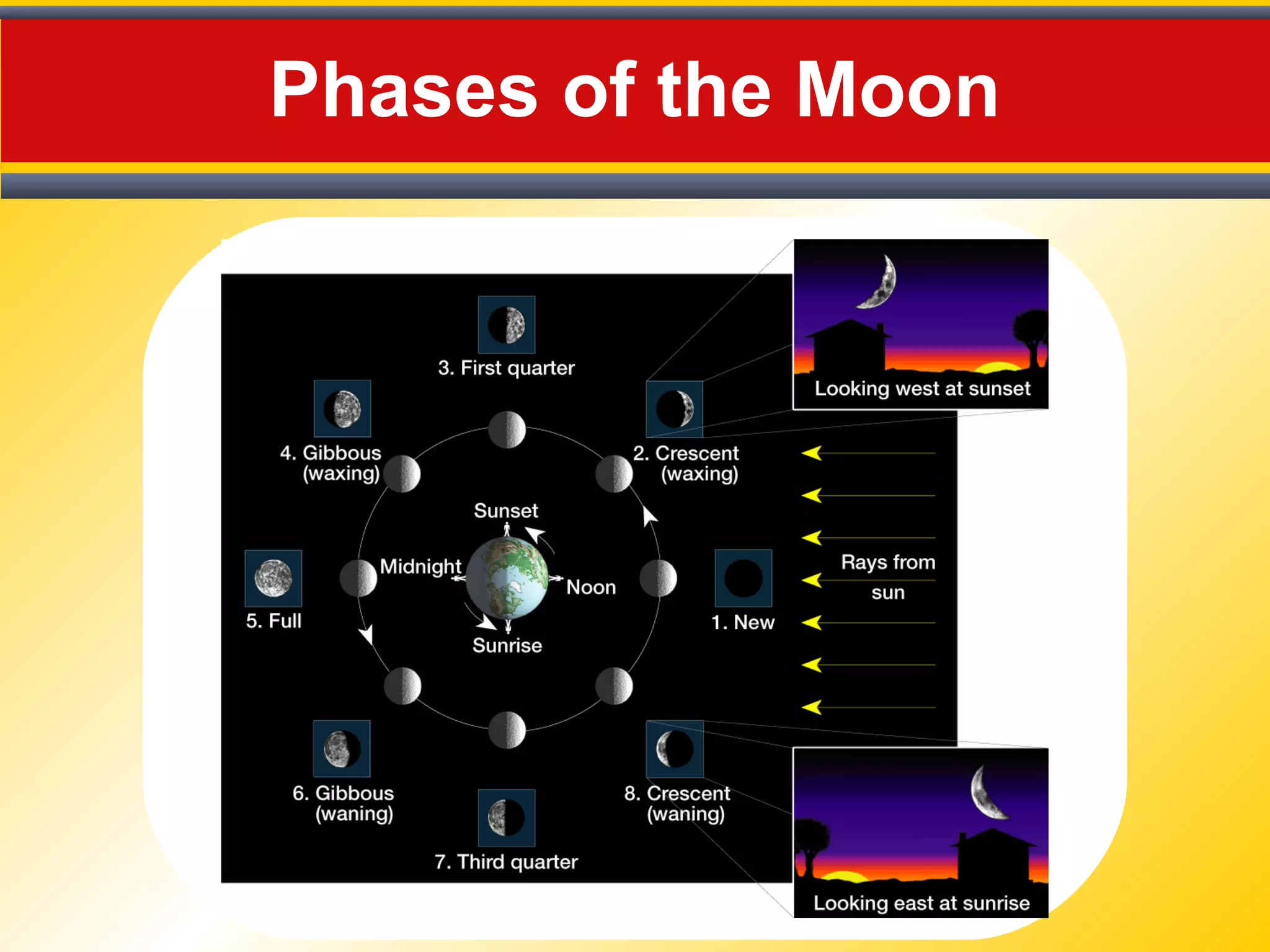 Phases of the Moon
 