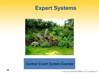 28
Expert Systems
Gardner Expert System Example
 