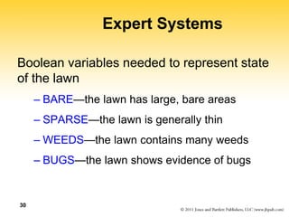 30
Expert Systems
Boolean variables needed to represent state
of the lawn
– BARE—the lawn has large, bare areas
– SPARSE—the lawn is generally thin
– WEEDS—the lawn contains many weeds
– BUGS—the lawn shows evidence of bugs
 