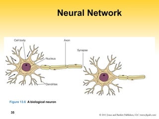 35
Neural Network
Figure 13.6 A biological neuron
 
