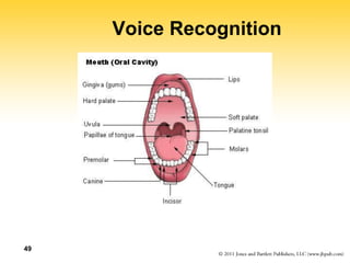 49
Voice Recognition
 