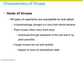 © 2015 Pearson Education, Inc.
Characteristics of Viruses
• Hosts of Viruses
• All types of organisms are susceptible to viral attack
• A bacteriophage (phage) is a virus that infects bacteria
• Plant viruses infect many food crops
• Introduced through abrasions of the cell wall or by
plant parasites
• Fungal viruses are not well studied
• Appear to have no extracellular state
 
