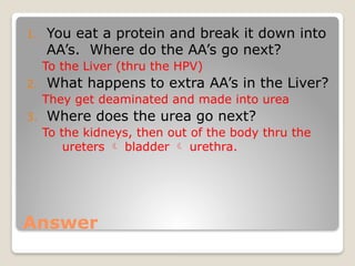 Chapter 13.1- EXCRETION IN HUMANS IGCSE BIO | PPTX