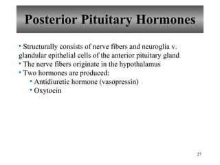 Posterior Pituitary Hormones Structurally consists of nerve fibers and neuroglia v. glandular epithelial cells of the anterior pituitary gland The nerve fibers originate in the hypothalamus Two hormones are produced: Antidiuretic hormone (vasopressin) Oxytocin 