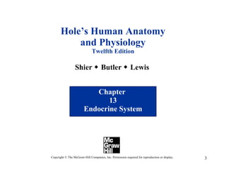 Hole’s Human Anatomy and Physiology Twelfth Edition Shier    Butler    Lewis  Chapter  13 Endocrine System Copyright © The McGraw-Hill Companies, Inc. Permission required for reproduction or display. 