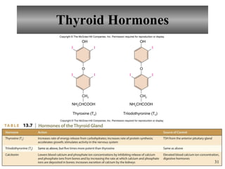 Thyroid Hormones Copyright  ©  The McGraw-Hill Companies, Inc. Permission required for reproduction or display. OH O I I CH 2 I I OH O I CH 2 I I NH 2 CHCOOH NH 2 CHCOOH Thyroxine (T 4 ) Triiodothyronine (T 3 ) 