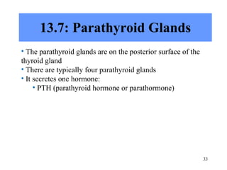13.7: Parathyroid Glands The parathyroid glands are on the posterior surface of the thyroid gland There are typically four parathyroid glands It secretes one hormone: PTH (parathyroid hormone or parathormone) 