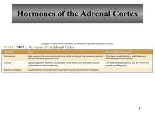 Hormones of the Adrenal Cortex 