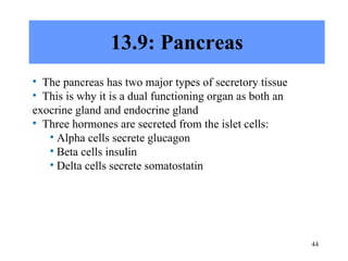 13.9: Pancreas The pancreas has two major types of secretory tissue This is why it is a dual functioning organ as both an exocrine gland and endocrine gland Three hormones are secreted from the islet cells: Alpha cells secrete glucagon Beta cells insulin Delta cells secrete somatostatin 