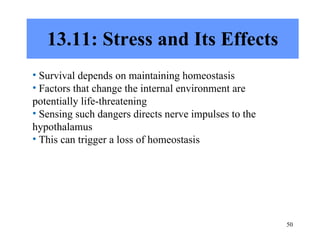 13.11: Stress and Its Effects Survival depends on maintaining homeostasis Factors that change the internal environment are potentially life-threatening Sensing such dangers directs nerve impulses to the hypothalamus This can trigger a loss of homeostasis 