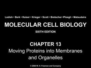 Lodish • Berk • Kaiser • Krieger • Scott • Bretscher •Ploegh • Matsudaira

MOLECULAR CELL BIOLOGY
SIXTH EDITION

CHAPTER 13
Moving Proteins into Membranes
and Organelles
© 2008 W. H. Freeman and Company
Copyright 2008 © W. H. Freeman and Company

 
