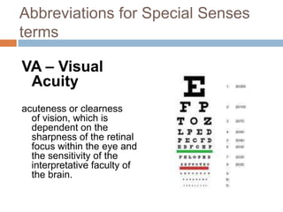 Chapter 13 special senses | PPTX