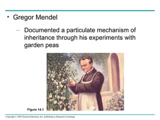 Chapter 13&14 | PPT