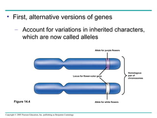 Chapter 13&14 | PPT