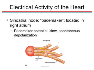 Chapter 13&14 lecture-1 | PPT