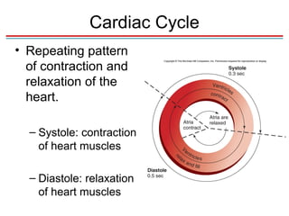 Repeating Contractions Chapter 13&14 lecture-1 | PPT