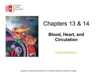 Chapters 13 & 14
Blood, Heart, and
Circulation
Lecture PowerPoint
Copyright © The McGraw-Hill Companies, Inc. Permission required for reproduction or display.
 