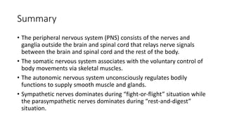 Summary
• The peripheral nervous system (PNS) consists of the nerves and
ganglia outside the brain and spinal cord that relays nerve signals
between the brain and spinal cord and the rest of the body.
• The somatic nervous system associates with the voluntary control of
body movements via skeletal muscles.
• The autonomic nervous system unconsciously regulates bodily
functions to supply smooth muscle and glands.
• Sympathetic nerves dominates during “fight-or-flight” situation while
the parasympathetic nerves dominates during “rest-and-digest”
situation.
 