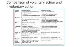 Comparison of voluntary action and
involuntary action
 