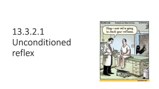 13.3.2.1
Unconditioned
reflex
 