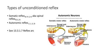 Types of unconditioned reflex
• Somatic reflex躯体反射 aka spinal
reflex髓反射
• Autonomic reflex自主反射
• See 13.3.1.7 Reflex arc
 