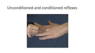 Unconditioned and conditioned reflexes
 