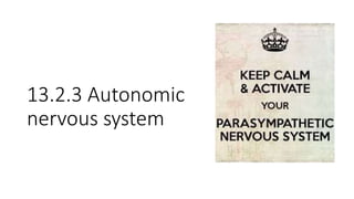 13.2.3 Autonomic
nervous system
 