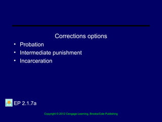 Chapter 13 The Role Of Social Work In The Criminal Justice System