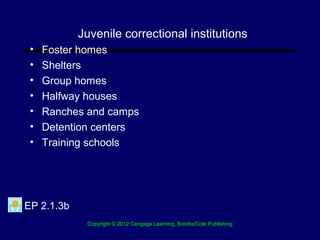 Chapter 13 The Role Of Social Work In The Criminal Justice System