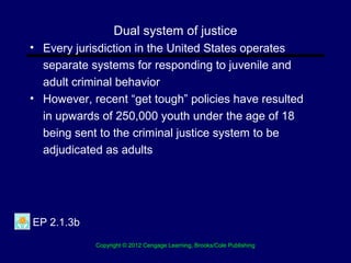 Chapter 13 The Role Of Social Work In The Criminal Justice System
