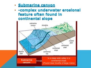 • Submarine canyon
• -complex underwater erosional
feature often found in
continental slope
 