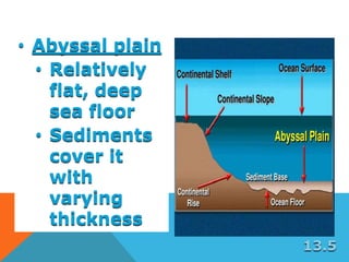 • Abyssal plain
• Relatively
flat, deep
sea floor
• Sediments
cover it
with
varying
thickness
13.5
 