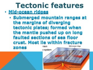 Tectonic features
• Mid-ocean ridges
• Submerged mountain ranges at
the margins of diverging
tectonic plates; formed when
the mantle pushed up on long
faulted sections of sea floor
crust. Most lie within fracture
zones
13.6
 