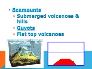 • Seamounts
• Submerged volcanoes &
hills
• Guyots
• Flat top volcanoes
 