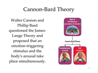 Cannon-Bard Theory Walter Cannon and Phillip Bard questioned the James-Lange Theory and proposed that an emotion-triggering stimulus and the body's arousal take place simultaneously. 