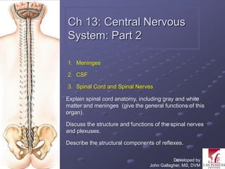Ch 13: Central Nervous
System: Part 2

1. Meninges

2. CSF

3. Spinal Cord and Spinal Nerves

Explain spinal cord anatomy, including gray and white
matter and meninges (give the general functions of this
organ).

Discuss the structure and functions of the spinal nerves
and plexuses.

Describe the structural components of reflexes.

                                             Developed by
                                  John Gallagher, MS, DVM
 