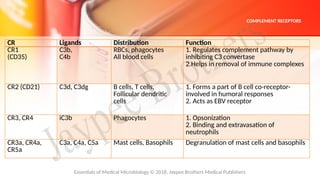 Comprehensive Overview of the Complement System in Immunology | PPTX