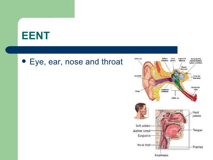 Chapter 13 eye and ear abbreviation