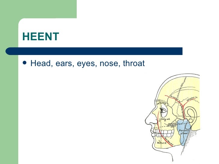 Chapter 13 eye and ear abbreviation