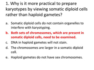 1. Why is it more practical to prepare
karyotypes by viewing somatic diploid cells
rather than haploid gametes?
a. Somatic diploid cells do not contain organelles to
interfere with karyotyping.
b. Both sets of chromosomes, which are present in
somatic diploid cells, need to be examined.
c. DNA in haploid gametes will not stain.
d. The chromosomes are larger in a somatic diploid
cell.
e. Haploid gametes do not have sex chromosomes.
 
