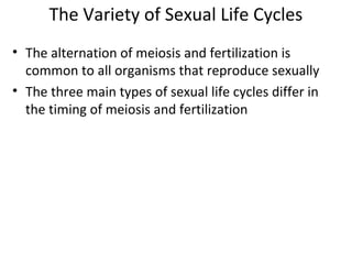 The Variety of Sexual Life Cycles
• The alternation of meiosis and fertilization is
common to all organisms that reproduce sexually
• The three main types of sexual life cycles differ in
the timing of meiosis and fertilization
 