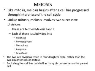 MEIOSIS
• Like mitosis, meiosis begins after a cell has progressed
through interphase of the cell cycle
• Unlike mitosis, meiosis involves two successive
divisions
– These are termed Meiosis I and II
– Each of these is subdivided into
• Prophase
• Prometaphase
• Metaphase
• Anaphase
• Telophase
• The two cell divisions result in four daughter cells, rather than the
two daughter cells in mitosis
• Each daughter cell has only half as many chromosomes as the parent
cell
 