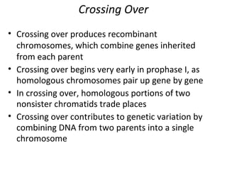 Crossing Over
• Crossing over produces recombinant
chromosomes, which combine genes inherited
from each parent
• Crossing over begins very early in prophase I, as
homologous chromosomes pair up gene by gene
• In crossing over, homologous portions of two
nonsister chromatids trade places
• Crossing over contributes to genetic variation by
combining DNA from two parents into a single
chromosome
 