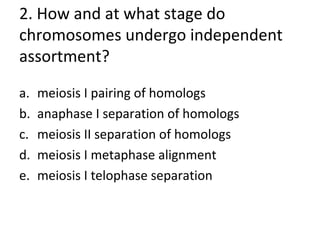 2. How and at what stage do
chromosomes undergo independent
assortment?
a. meiosis I pairing of homologs
b. anaphase I separation of homologs
c. meiosis II separation of homologs
d. meiosis I metaphase alignment
e. meiosis I telophase separation
 