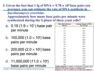 Copyright © 2005 Pearson Education, Inc. publishing as Benjamin Cummings
3. Given the fact that 1 fg of DNA = 9.78 × 105
base pairs (on
average), you can estimate the rate of DNA synthesis in
Saccharomyces cerevisiae.
Approximately how many base pairs per minute were
synthesized during the S phase of these yeast cells?
a. 0.19 (1.9 × 10–1
) base pair
per minute
b. 100,000 (1.0 × 105
) base
pairs per minute
c. 200,000 (2.0 × 105
) base
pairs per minute
d. 11,000,000 (11.0 × 106
)
base pairs per minute
 
