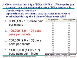 Copyright © 2005 Pearson Education, Inc. publishing as Benjamin Cummings
3. Given the fact that 1 fg of DNA = 9.78 × 105
base pairs (on
average), you can estimate the rate of DNA synthesis in
Saccharomyces cerevisiae.
Approximately how many base pairs per minute were
synthesized during the S phase of these yeast cells?
a. 0.19 (1.9 × 10–1
) base pair
per minute
b. 100,000 (1.0 × 105
) base
pairs per minute
c. 200,000 (2.0 × 105
) base
pairs per minute
d. 11,000,000 (11.0 × 106
)
base pairs per minute
 