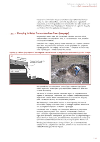 Chapter13gullyerosion | PDF